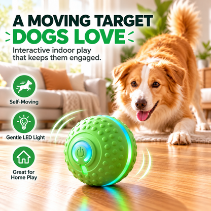 Self-Moving Interactive Dog Ball – USB Rechargeable Pet Toy
